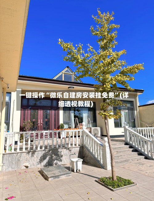 一键操作“微乐自建房安装挂免费”(详细透视教程)-第2张图片