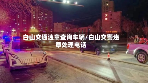 白山交通违章查询车辆/白山交警违章处理电话-第2张图片