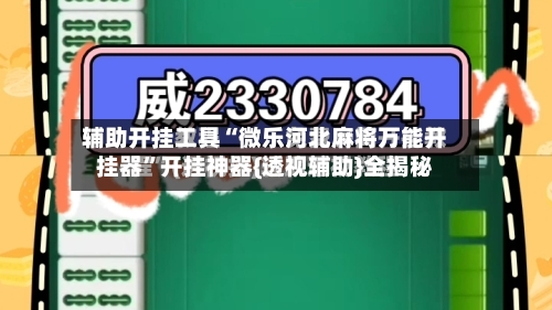 辅助开挂工具“微乐河北麻将万能开挂器	”开挂神器{透视辅助}全揭秘-第2张图片