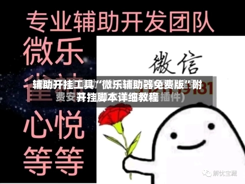 辅助开挂工具“微乐辅助器免费版”附开挂脚本详细教程-第2张图片