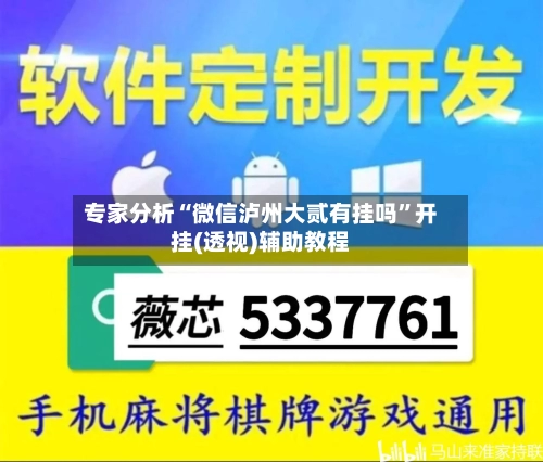 专家分析“微信泸州大贰有挂吗”开挂(透视)辅助教程-第2张图片