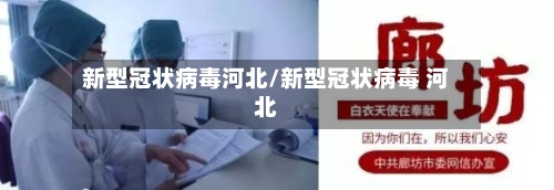 新型冠状病毒河北/新型冠状病毒 河北