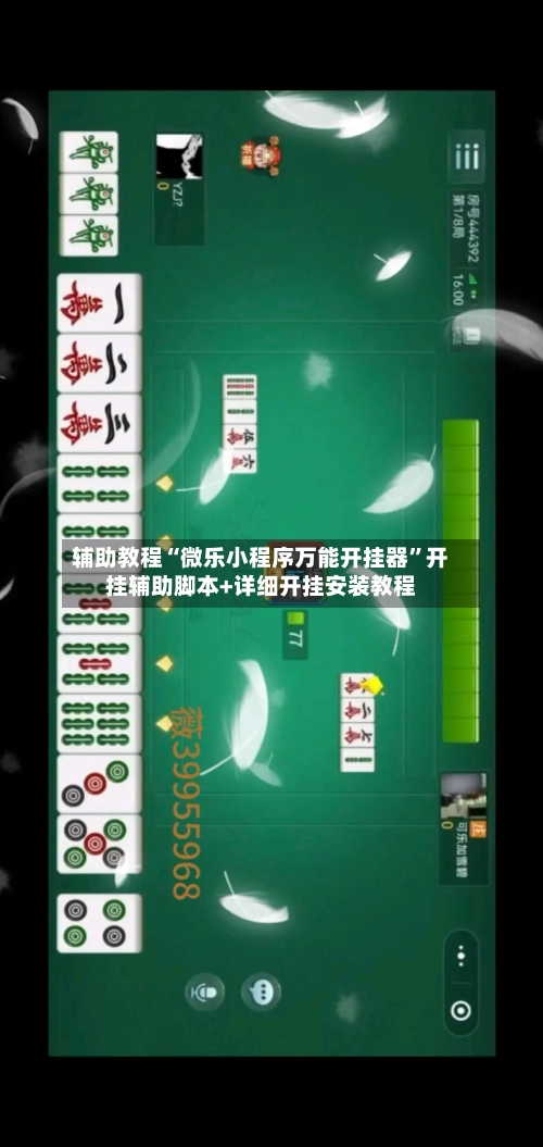 辅助教程“微乐小程序万能开挂器”开挂辅助脚本+详细开挂安装教程-第3张图片