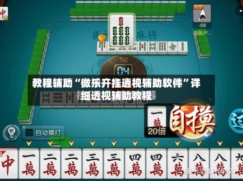 教程辅助“微乐开挂透视辅助软件	”详细透视辅助教程-第2张图片