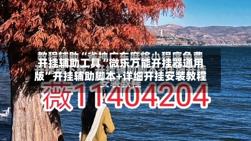 开挂辅助工具“微乐万能开挂器通用版”开挂辅助脚本+详细开挂安装教程-第3张图片