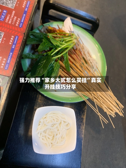 强力推荐“家乡大贰怎么买挂”真实开挂技巧分享-第3张图片