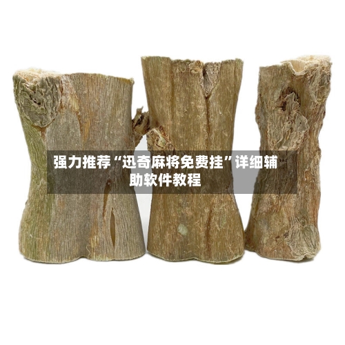 强力推荐“迅奇麻将免费挂	”详细辅助软件教程-第3张图片