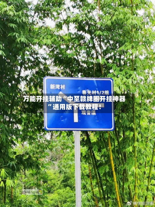 万能开挂辅助“中至赣牌圈开挂神器	”通用版下载教程！-第3张图片