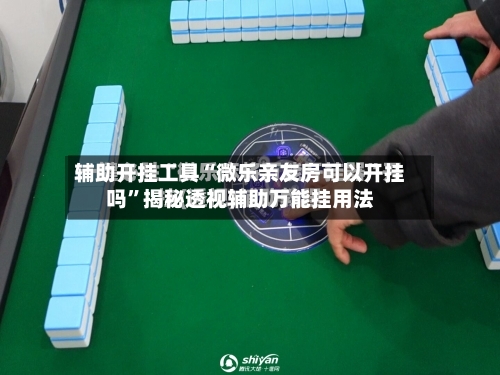 辅助开挂工具“微乐亲友房可以开挂吗”揭秘透视辅助万能挂用法-第2张图片
