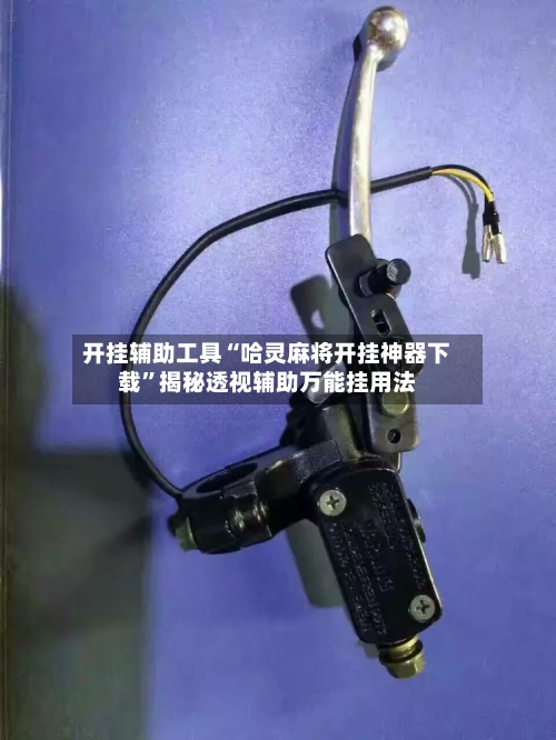 开挂辅助工具“哈灵麻将开挂神器下载”揭秘透视辅助万能挂用法