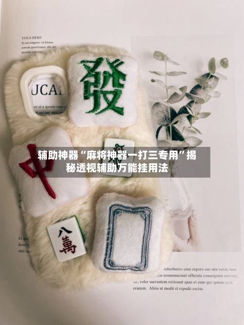 辅助神器“麻将神器一打三专用”揭秘透视辅助万能挂用法-第2张图片