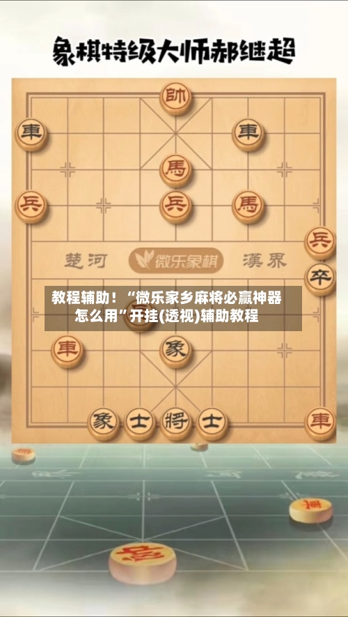 教程辅助！“微乐家乡麻将必赢神器怎么用”开挂(透视)辅助教程-第2张图片