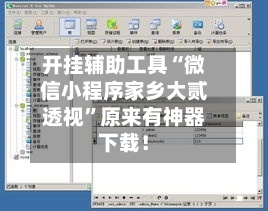 开挂辅助工具“微信小程序家乡大贰透视”原来有神器下载！-第2张图片