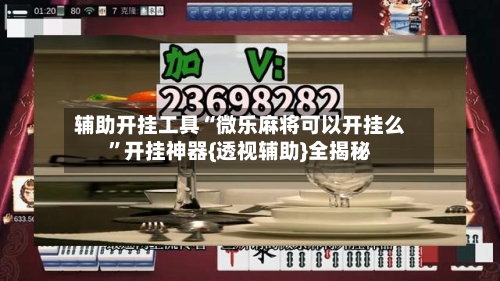 辅助开挂工具“微乐麻将可以开挂么”开挂神器{透视辅助}全揭秘-第2张图片