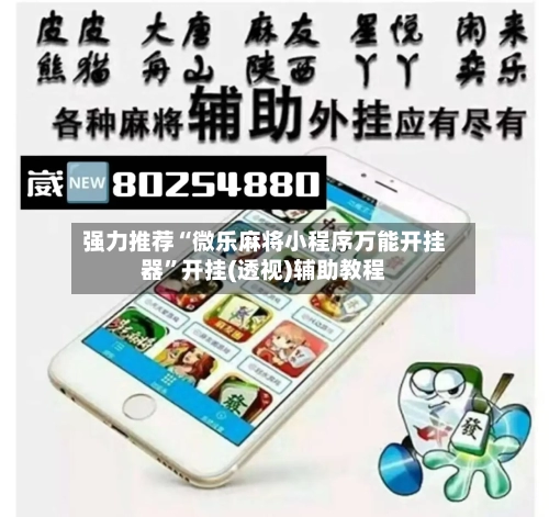 强力推荐“微乐麻将小程序万能开挂器”开挂(透视)辅助教程-第2张图片