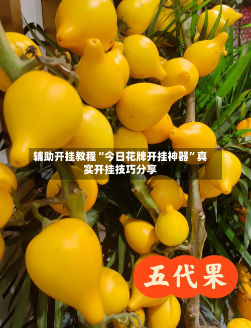 辅助开挂教程“今日花牌开挂神器”真实开挂技巧分享