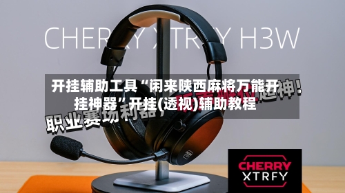 开挂辅助工具“闲来陕西麻将万能开挂神器”开挂(透视)辅助教程-第3张图片