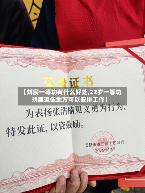 【刘宸一等功有什么好处,22岁一等功刘宸退伍地方可以安排工作】