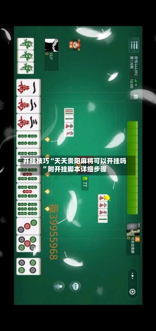 开挂技巧“天天贵阳麻将可以开挂吗	”附开挂脚本详细步骤-第2张图片