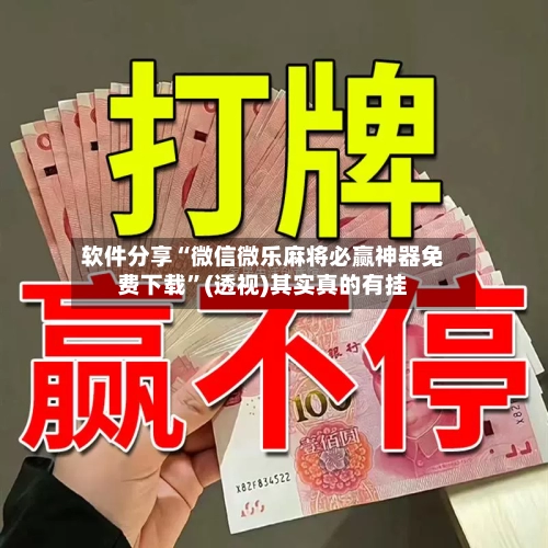 软件分享“微信微乐麻将必赢神器免费下载”(透视)其实真的有挂-第2张图片