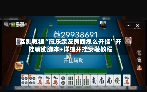 实测教程“微乐亲友房间怎么开挂”开挂辅助脚本+详细开挂安装教程-第2张图片