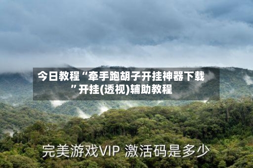 今日教程“牵手跑胡子开挂神器下载”开挂(透视)辅助教程-第3张图片