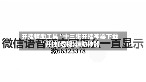 开挂辅助工具“十三张开挂神器下载	”开挂(透视)辅助神器-第2张图片