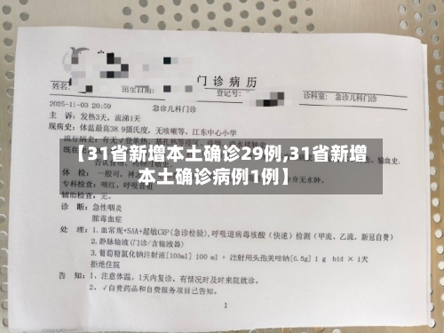【31省新增本土确诊29例,31省新增本土确诊病例1例】-第2张图片