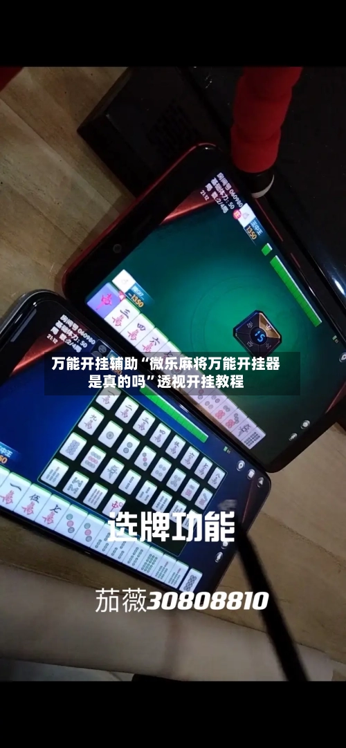 万能开挂辅助“微乐麻将万能开挂器是真的吗”透视开挂教程-第2张图片