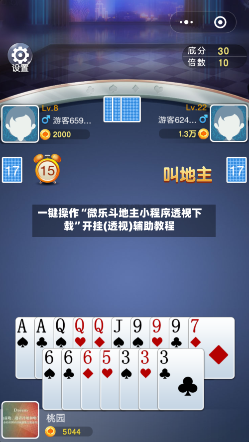 一键操作“微乐斗地主小程序透视下载”开挂(透视)辅助教程-第3张图片