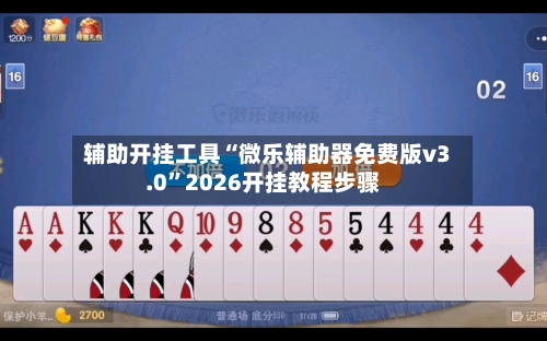 辅助开挂工具“微乐辅助器免费版v3.0”2026开挂教程步骤-第2张图片